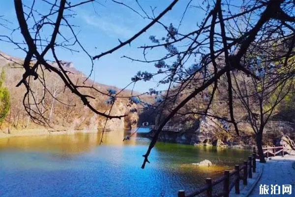 浮戲山雪花洞景區怎么去 3月21日免費開放-免費政策