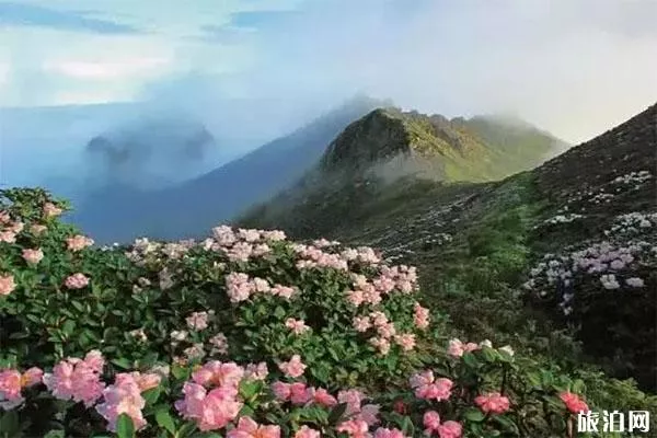 大理蒼山景區游玩攻略 附交通