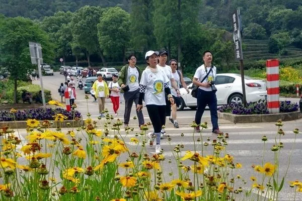 無錫錫山區最美徒步路線