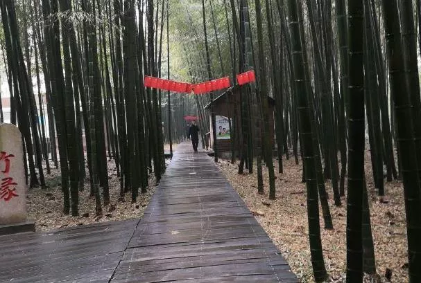日照竹洞天風景區門票多少錢