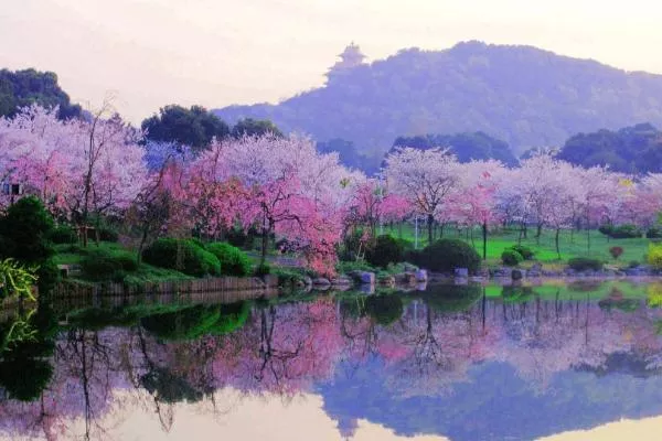 東湖磨<a href='/shanfeng/' target=_blank>山風</a>景區需要預約嗎 東湖磨山風景區游玩攻略