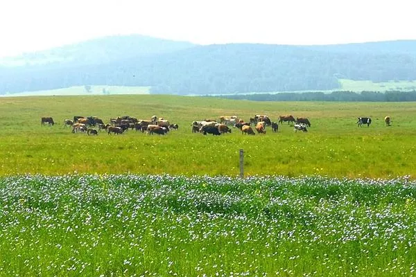 御道口<a href='https://www.www.51kouyi.org/' target=_blank>旅游攻略</a> 去御道口草原怎么走