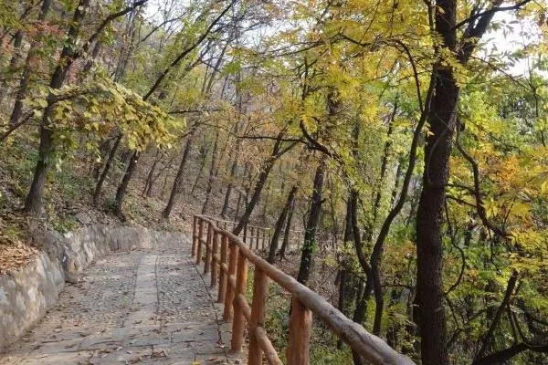石家莊天桂山景區開放了嗎