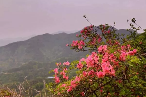 湖北武漢黃陂云霧山<a href='/fengjing/' target=_blank>風景</a>區在哪里?木蘭云霧山在哪個地方?