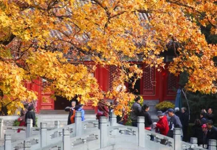 香山公園什么時候去最好 香山公園門票是多少 香山公園什么時候去最好 香山公園門票是多少