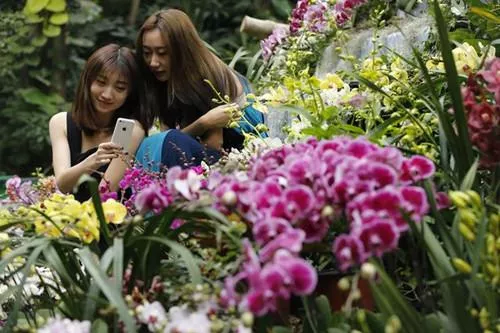 武漢植物園好玩嗎 武漢植物園有什么好玩的 武漢植物園好玩嗎 武漢植物園有什么好玩的