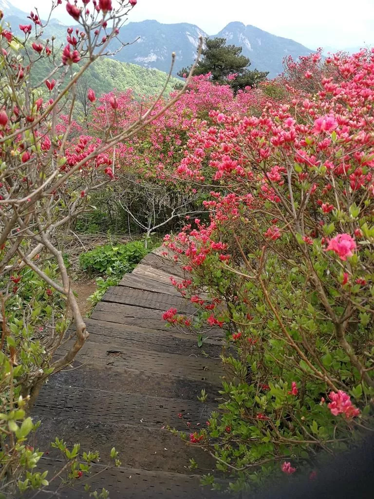 龜峰山風景區好玩嗎 龜峰山旅游攻略 龜峰山風景區好玩嗎 龜峰山旅游攻略