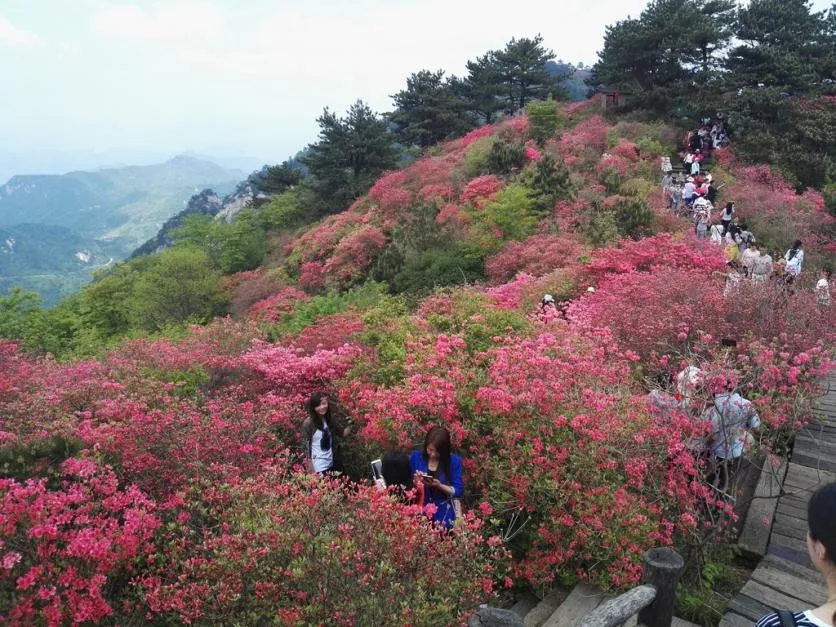 龜峰山風景區好玩嗎 龜峰山旅游攻略 龜峰山風景區好玩嗎 龜峰山旅游攻略