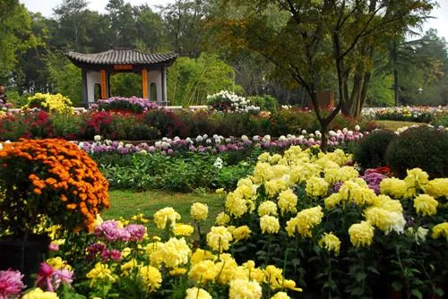 武漢植物園好玩嗎 武漢植物園有什么好玩的 武漢植物園好玩嗎 武漢植物園有什么好玩的