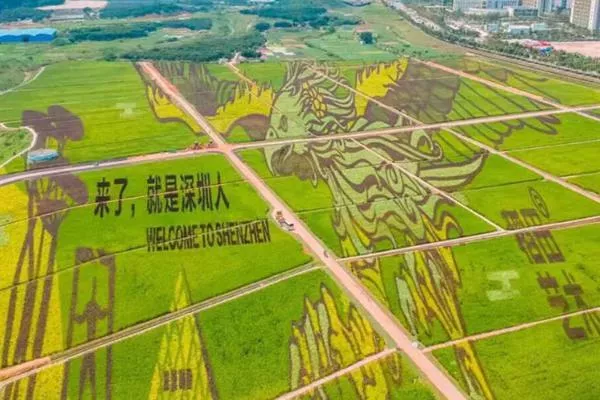 深圳光明小鎮歡樂田園需要預約嗎