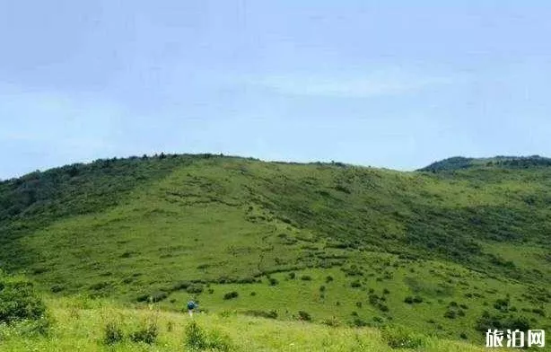 東坪溝高山草甸攻略 東坪溝高山草甸攻略