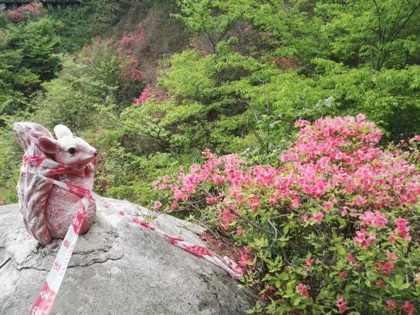 龜峰山風景區好玩嗎 龜峰山旅游攻略 龜峰山風景區好玩嗎 龜峰山旅游攻略