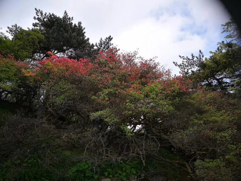 龜峰山風景區好玩嗎 龜峰山旅游攻略 龜峰山風景區好玩嗎 龜峰山旅游攻略