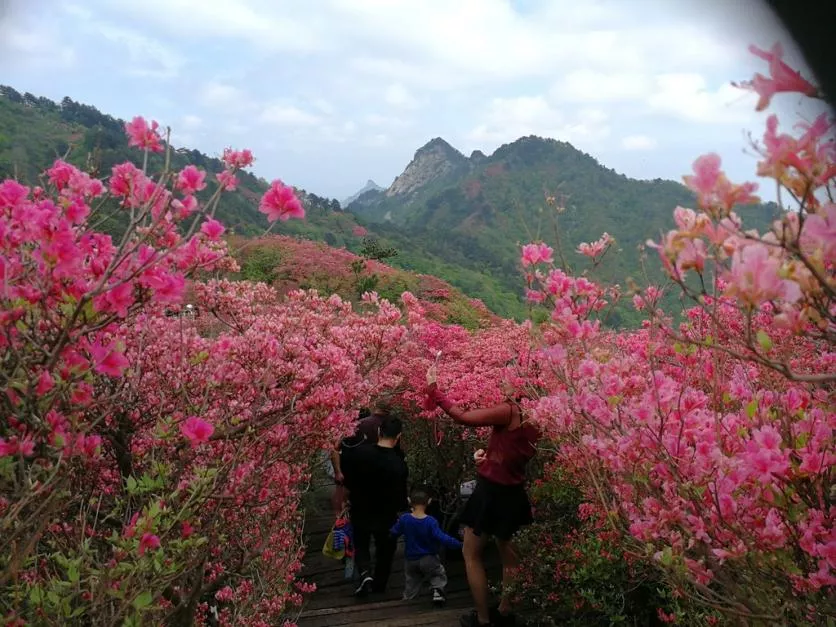 龜峰山風景區好玩嗎 龜峰山旅游攻略 龜峰山風景區好玩嗎 龜峰山旅游攻略