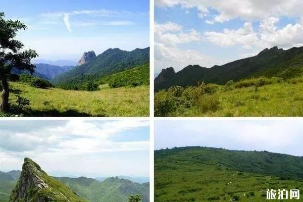 東坪溝高山草甸攻略 東坪溝高山草甸攻略