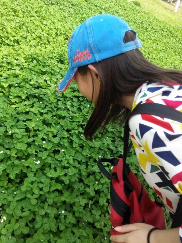 漢陽造有哪些好玩的 漢陽造在哪兒? 漢陽造有哪些好玩的 漢陽造在哪兒?