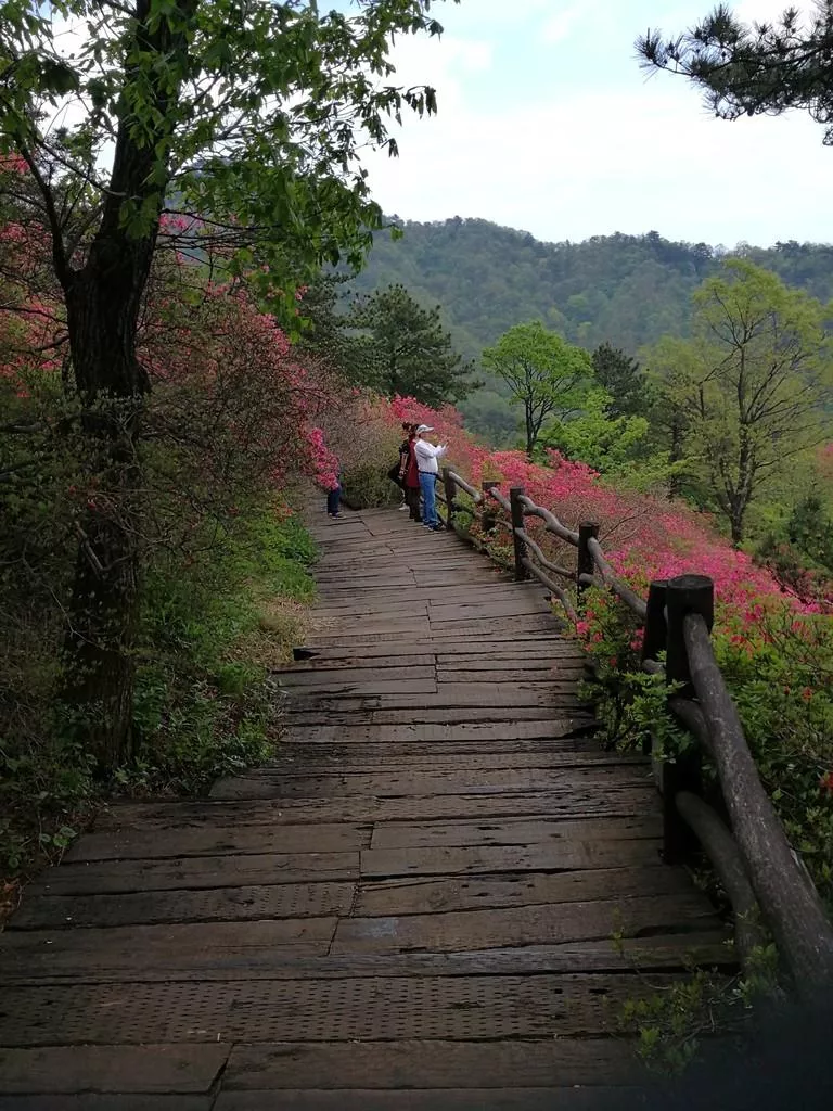 龜峰山風景區好玩嗎 龜峰山旅游攻略 龜峰山風景區好玩嗎 龜峰山旅游攻略