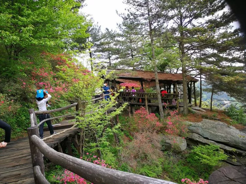 龜峰山風景區好玩嗎 龜峰山旅游攻略 龜峰山風景區好玩嗎 龜峰山旅游攻略