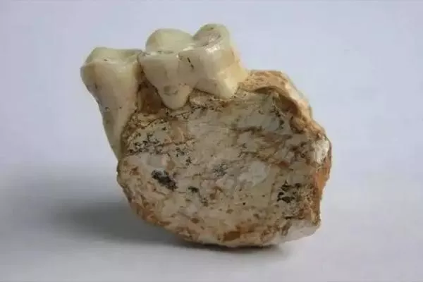 重慶中國三峽博物館鎮館之寶是什么