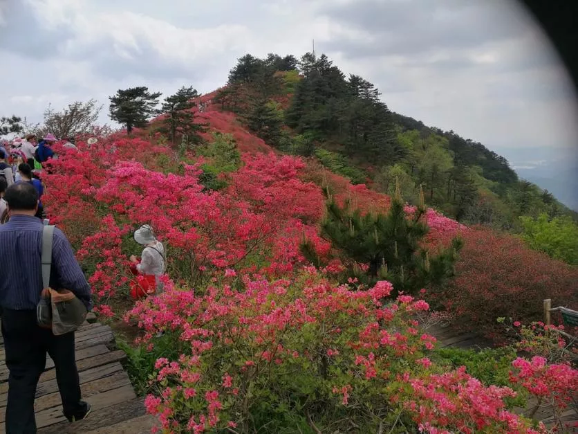 龜峰山風景區好玩嗎 龜峰山旅游攻略 龜峰山?
??景區好玩嗎 龜峰山旅游攻略