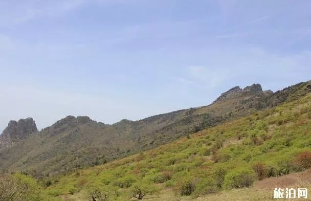 東坪溝高山草甸攻略 東坪溝高山草甸攻略