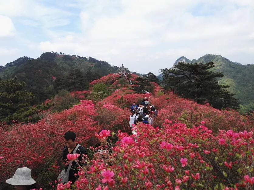 龜峰山風景區好玩嗎 龜峰山旅游攻略 龜峰山風景區好玩嗎 龜峰山旅游攻略