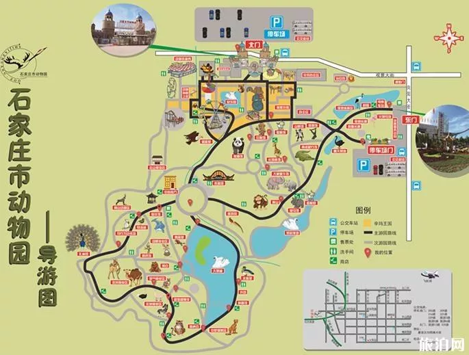 石家莊動物園門票多少錢一張最新票價2020 石家莊動物園門票多少錢一張最新票價2020