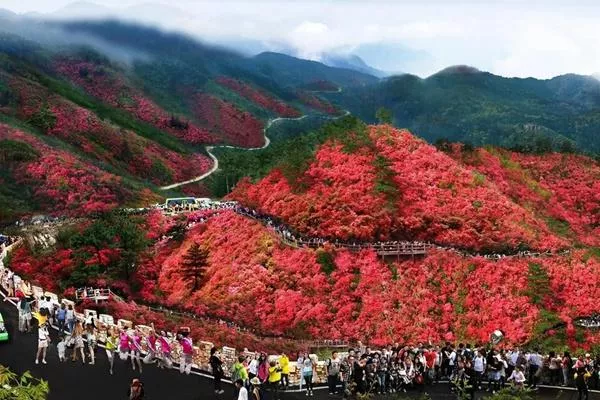 湖北武漢黃陂云霧山風景區在哪里?木蘭云霧山在哪個地方?