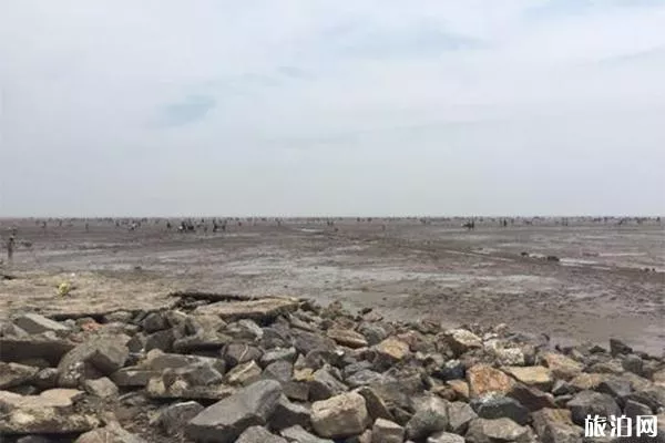 天津諾恩漁業生態園趕海介紹 地點-交通指南