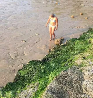 法國波爾多旅游攻略_法國波爾多旅游攻略注意事項2017 法國波爾多旅游攻略_法國波爾多旅游攻略注意事項2017