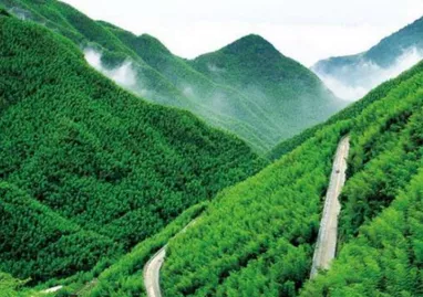 中國大竹海旅游攻略 中國大竹海在哪里 中國大竹海旅游攻略 中國大竹海在哪里