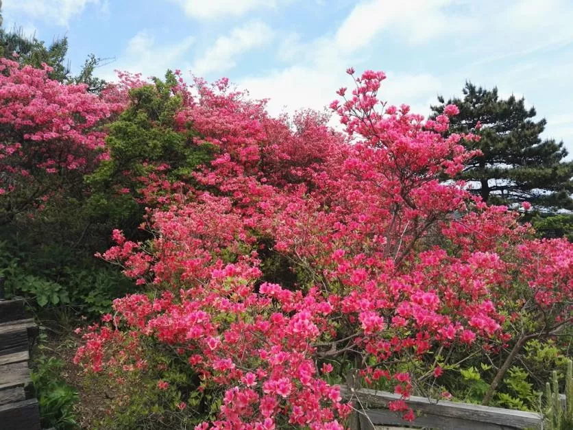 龜峰山風景區好玩嗎 龜峰山旅游攻略 龜峰山風景區好玩嗎 龜峰山旅游攻略