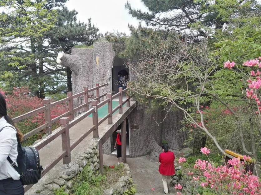 龜峰山風景區好玩嗎 龜峰山旅游攻略 龜峰山風景區好玩嗎 龜峰山旅游攻略