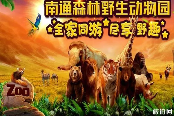 南通森林野生動物園有什么好玩的項目 分為幾區 南通森林野生動物園有什么好玩的項目 分為幾區