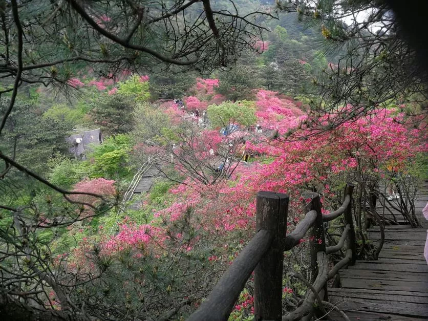 龜峰山風景區好玩嗎 龜峰山旅游攻略 龜峰山風景區好玩嗎 龜峰山旅游攻略