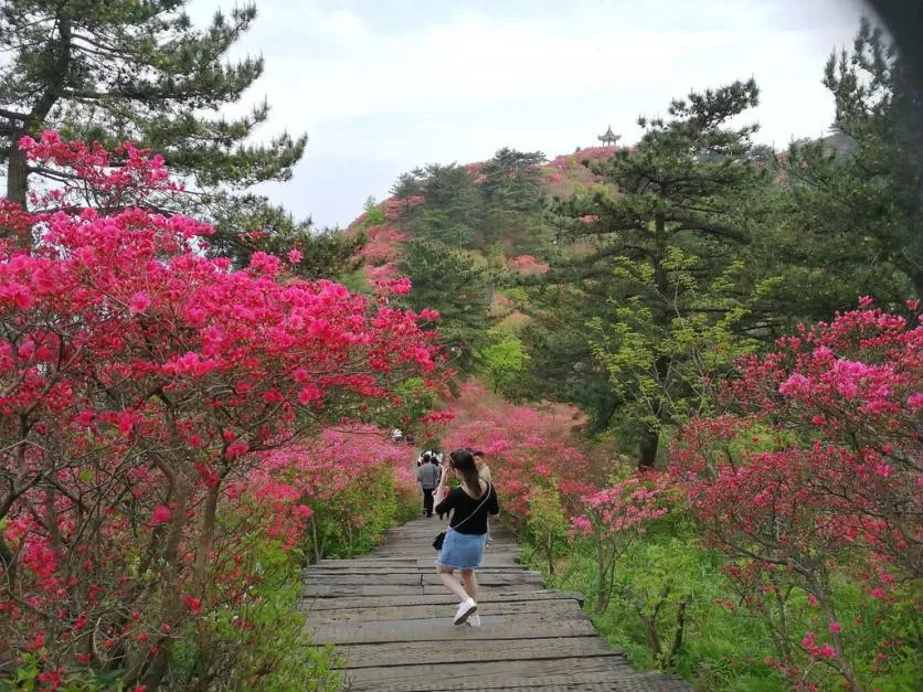 龜峰山風景區好玩嗎 龜峰山旅游攻略 龜峰山風景區好玩嗎 龜峰山旅游攻略