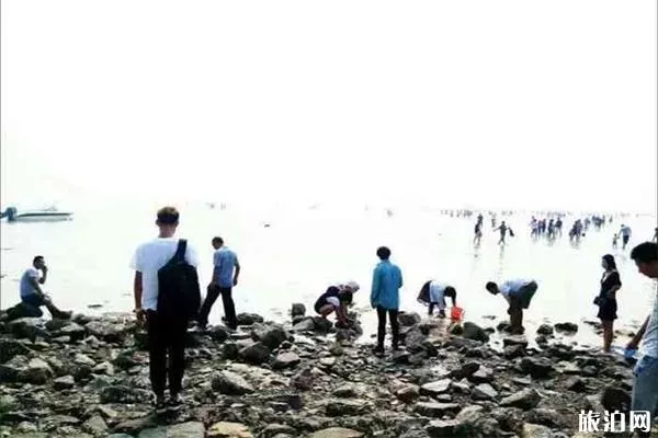 天津諾恩漁業生態園趕海介紹 地點-交通指南