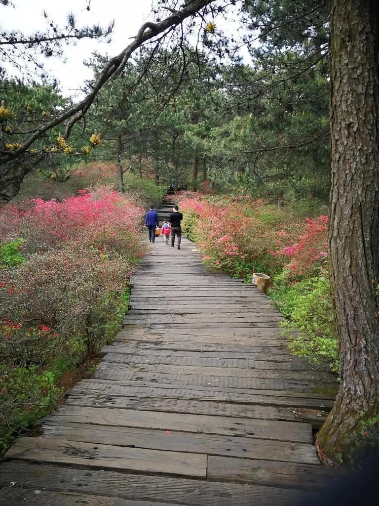 龜峰山風景區好玩嗎 龜峰山旅游攻略 龜峰山風景區好玩嗎 龜峰山旅游攻略