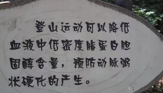 香山公園門票是多少 香山公園攻略 香山公園門票是多少 香山公園攻略