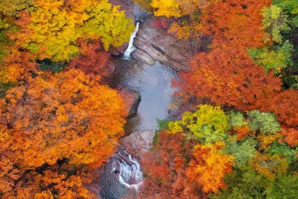 光霧山紅葉節2022年什么時候開幕