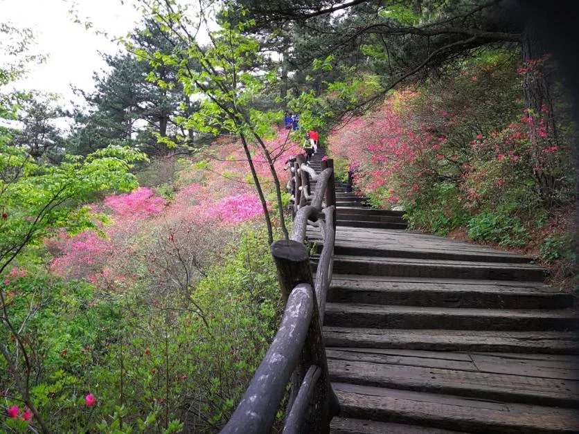 龜峰山風景區好玩嗎 龜峰山旅游攻略 龜峰山風景區好玩嗎 龜峰山旅游攻略