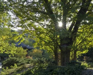 香山公園什么時候去最好 香山公園門票是多少 香山公園什么時候去最好 香山公園門票是多少