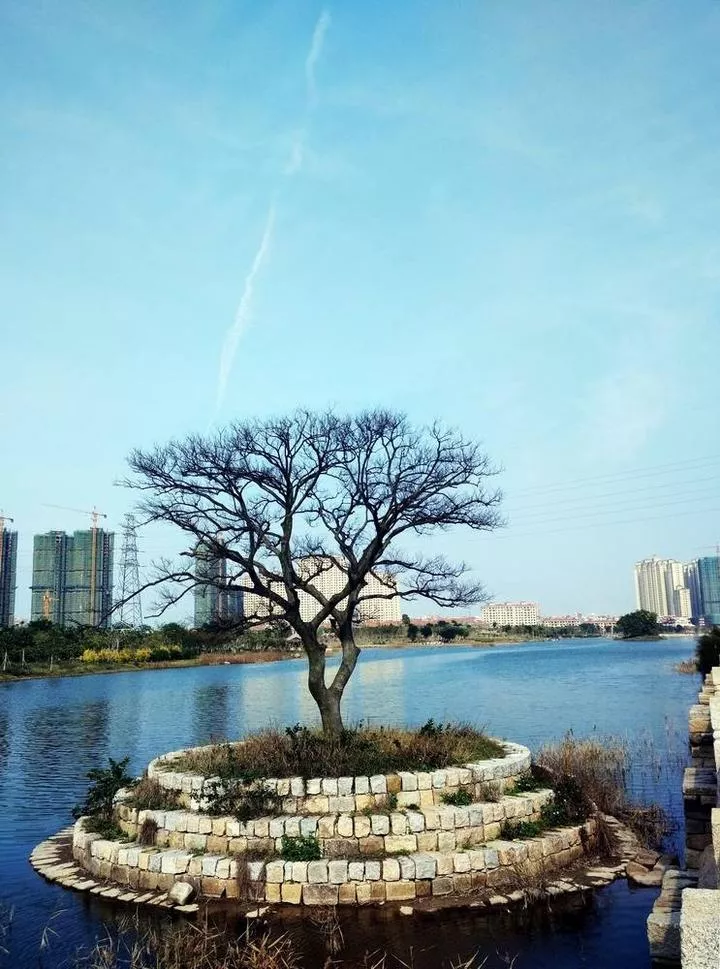 五里橋在哪里 五里橋公園 五里橋在哪里 五里橋公園