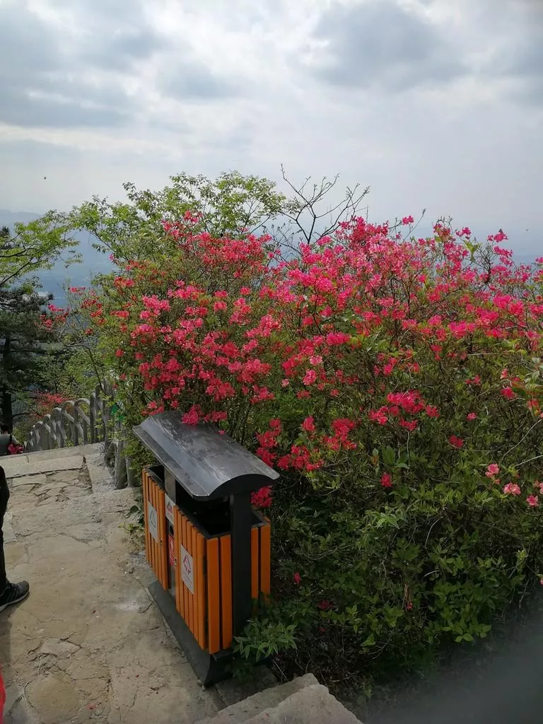 龜峰山風景區好玩嗎 龜峰山旅游攻略 龜峰山風景區好玩嗎 龜峰山旅游攻略