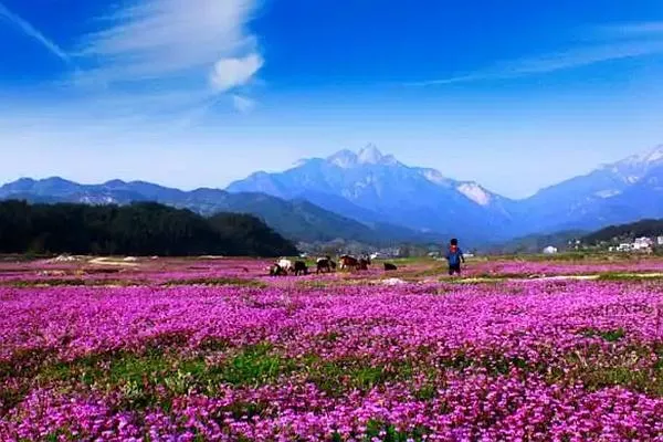 羅田燕兒谷景區游玩攻略 門票、住宿、最佳游玩時間都在這了