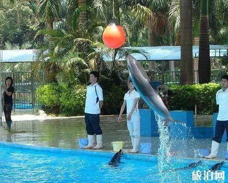 南寧動物園門票多少錢 地址+門票+交通指南 南寧動物園門票多少錢 地址+門票+交通指南