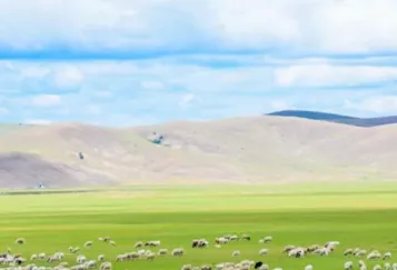呼倫貝爾大草原旅游攻略 呼倫貝爾大草原在哪里 呼倫貝爾大草原旅游攻略 呼倫貝爾大草原在哪里