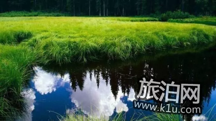 馬踏湖金絲鴨蛋的特點 馬踏湖<a href='https://www.www.51kouyi.org/' target=_blank>旅游</a>攻略 馬踏湖金絲鴨蛋的特點 馬踏湖<a href='https://www.www.51kouyi.org/' target=_blank>旅游攻略</a>