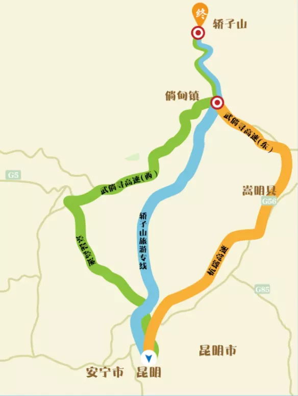 5月昆明賞花去哪里 2022昆明藍花楹最佳觀賞時間及地點 5月昆明賞花去哪里 2022昆明藍花楹最佳觀賞時間及地點
