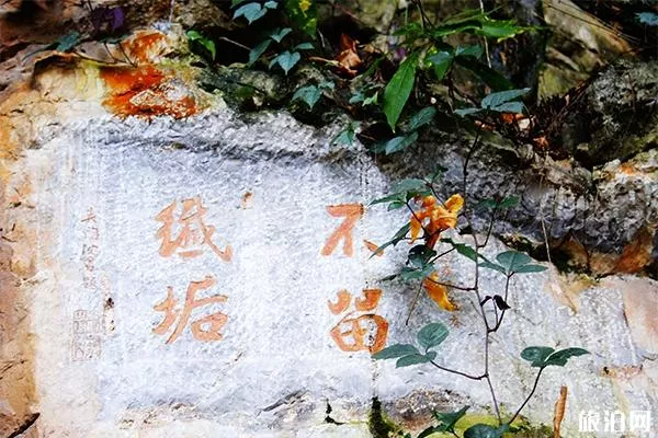 環云崖摩崖石刻群在哪 需要門票嗎-怎么去
